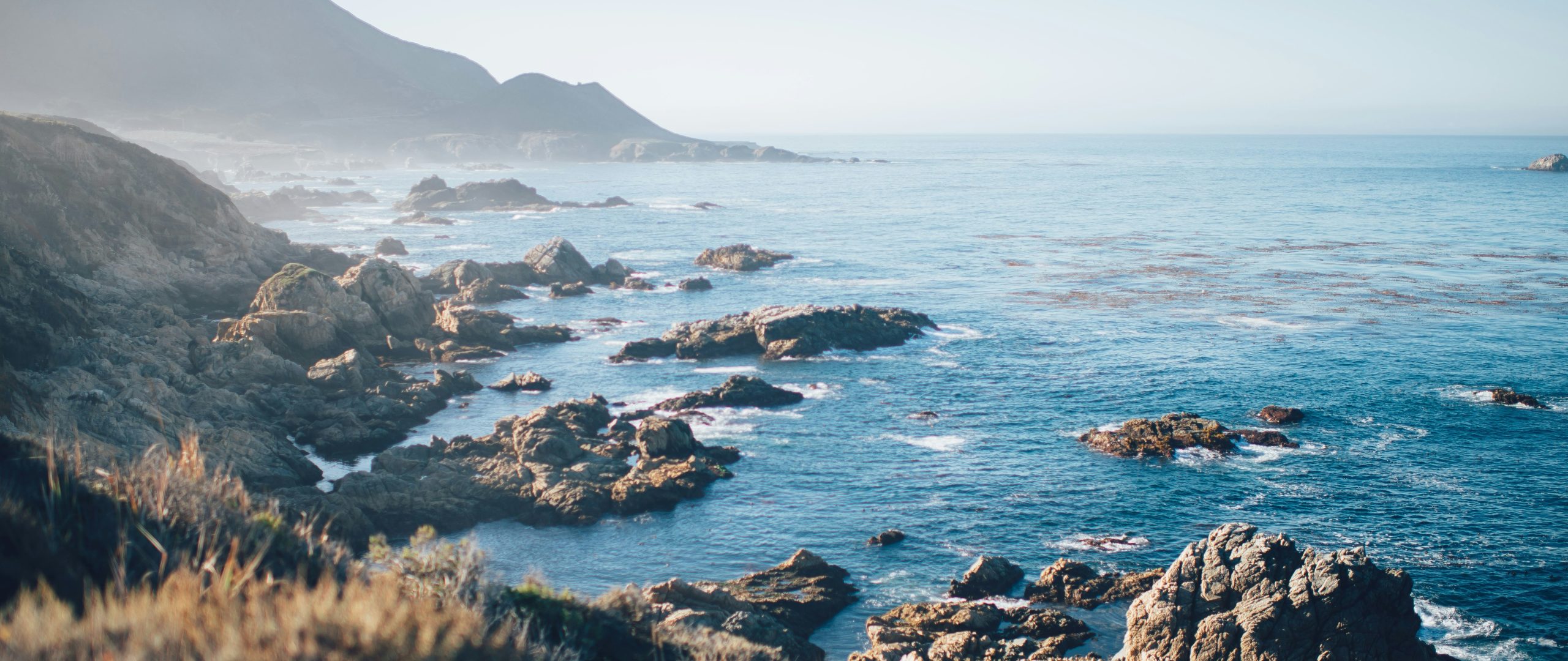 View of Rocky Shore